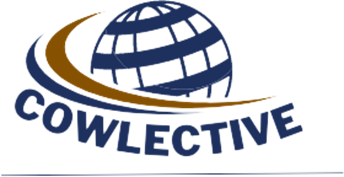 Logo PROYECTO COWLECTIVE