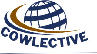 Curso Cowlective